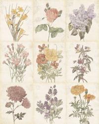 Flowers of the Month 9 Patch Vintage | Obraz na stenu