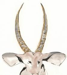 Gilded Antelope | Obraz na stenu