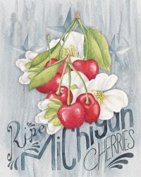 American Berries III | Obraz na stenu