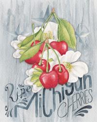 American Berries III | Obraz na stenu