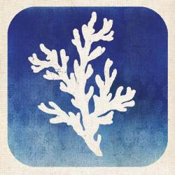Watermark Coral | Obraz na stenu
