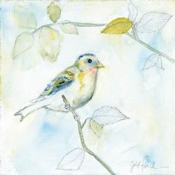 Sketched Songbird I | Obraz na stenu
