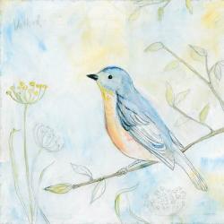 Sketched Songbird II | Obraz na stenu