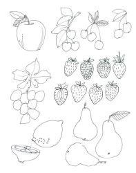 Line Art Fruits | Obraz na stenu