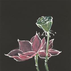 Lotus on Black III | Obraz na stenu