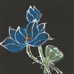 Lotus on Black VII | Obraz na stenu