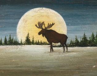 North Woods Moose Crop | Obraz na stenu