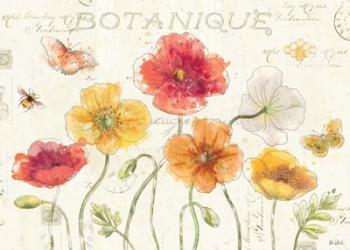Painted Poppies I | Obraz na stenu