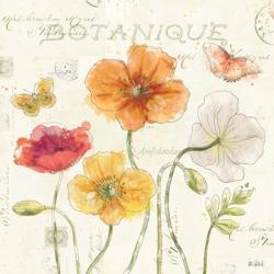 Painted Poppies II | Obraz na stenu