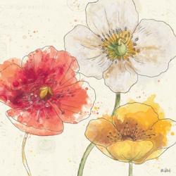 Painted Poppies IV | Obraz na stenu