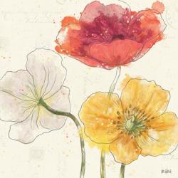 Painted Poppies V | Obraz na stenu