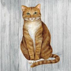 Country Kitty II on Wood | Obraz na stenu