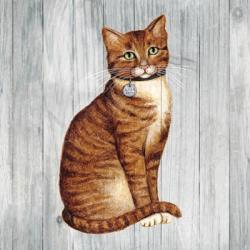 Country Kitty IV on Wood | Obraz na stenu