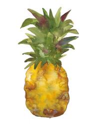 Harriets Pineapple I | Obraz na stenu