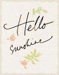 Hello Sunshine | Obraz na stenu