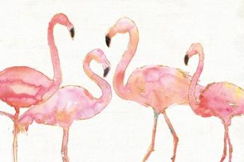 Flamingo Fever I no Splatter | Obraz na stenu