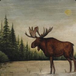 North Woods Moose II | Obraz na stenu