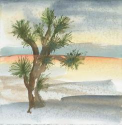 Desert Joshua Tree Cool | Obraz na stenu