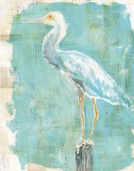 Coastal Egret II | Obraz na stenu
