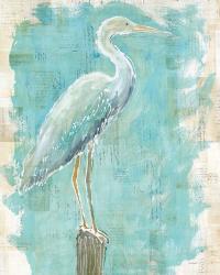 Coastal Egret I | Obraz na stenu