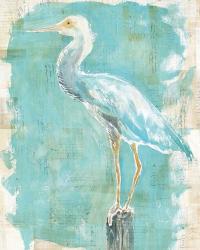 Coastal Egret II | Obraz na stenu