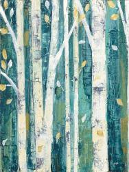 Birches in Spring II | Obraz na stenu