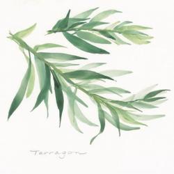 Tarragon II | Obraz na stenu
