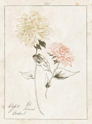 Flowers on White IV with Words | Obraz na stenu