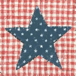 Americana Quilt II | Obraz na stenu