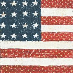 Americana Quilt IV | Obraz na stenu