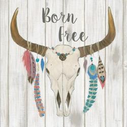 Bohemian Rising I no Border Born Free | Obraz na stenu