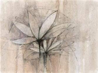 Windflowers | Obraz na stenu