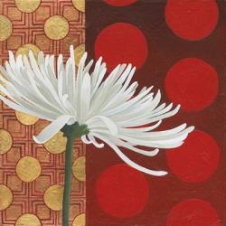 Morning Chrysanthemum I | Obraz na stenu