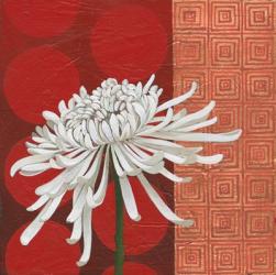 Morning Chrysanthemum II | Obraz na stenu