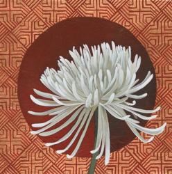 Morning Chrysanthemum III | Obraz na stenu