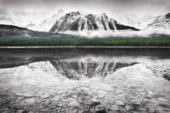 Waterfowl Lake I BW with Color | Obraz na stenu