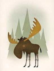 Forest Moose | Obraz na stenu