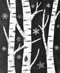 Snowy Birches | Obraz na stenu