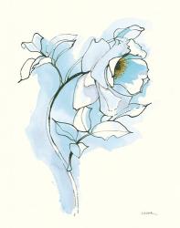 Carols Roses III Blue | Obraz na stenu