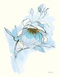 Carols Roses V Blue | Obraz na stenu