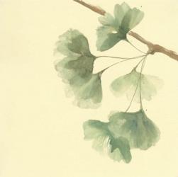 Gingko Leaves III | Obraz na stenu