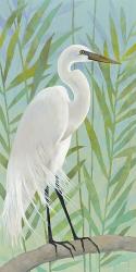 Egret by the Shore I | Obraz na stenu