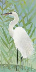 Egret by the Shore II | Obraz na stenu