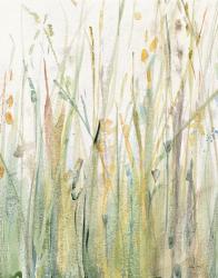 Spring Grasses I Crop | Obraz na stenu