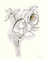 Carols Roses III Soft Gray | Obraz na stenu