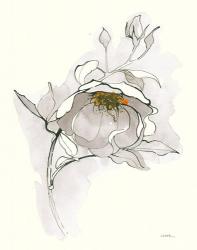 Carols Roses V Off White | Obraz na stenu