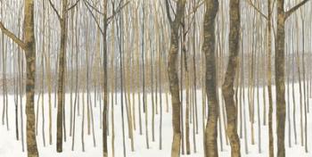 Woods in Winter | Obraz na stenu