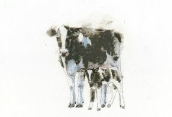 Cow and Calf Light | Obraz na stenu