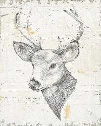 Wild and Beautiful II | Obraz na stenu