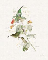 Colorful Hummingbirds III | Obraz na stenu